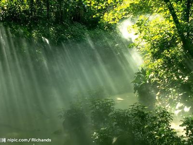 在阳光下做自己喜欢的事