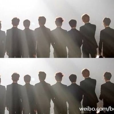 我最爱的十二只