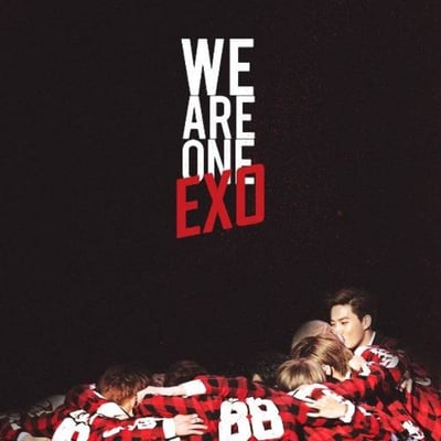 我最爱的十二只