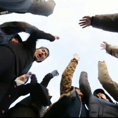 我最爱的十二只