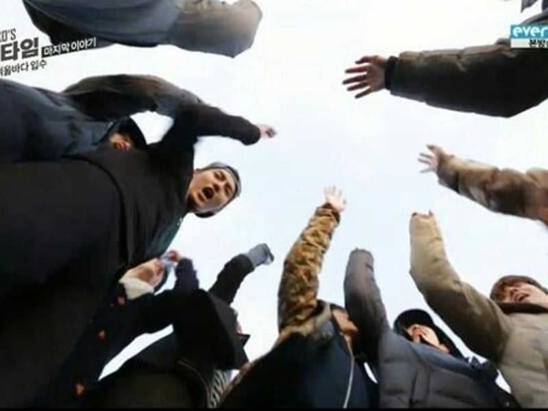 我最爱的十二只