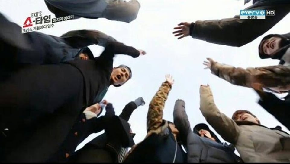 我最爱的十二只