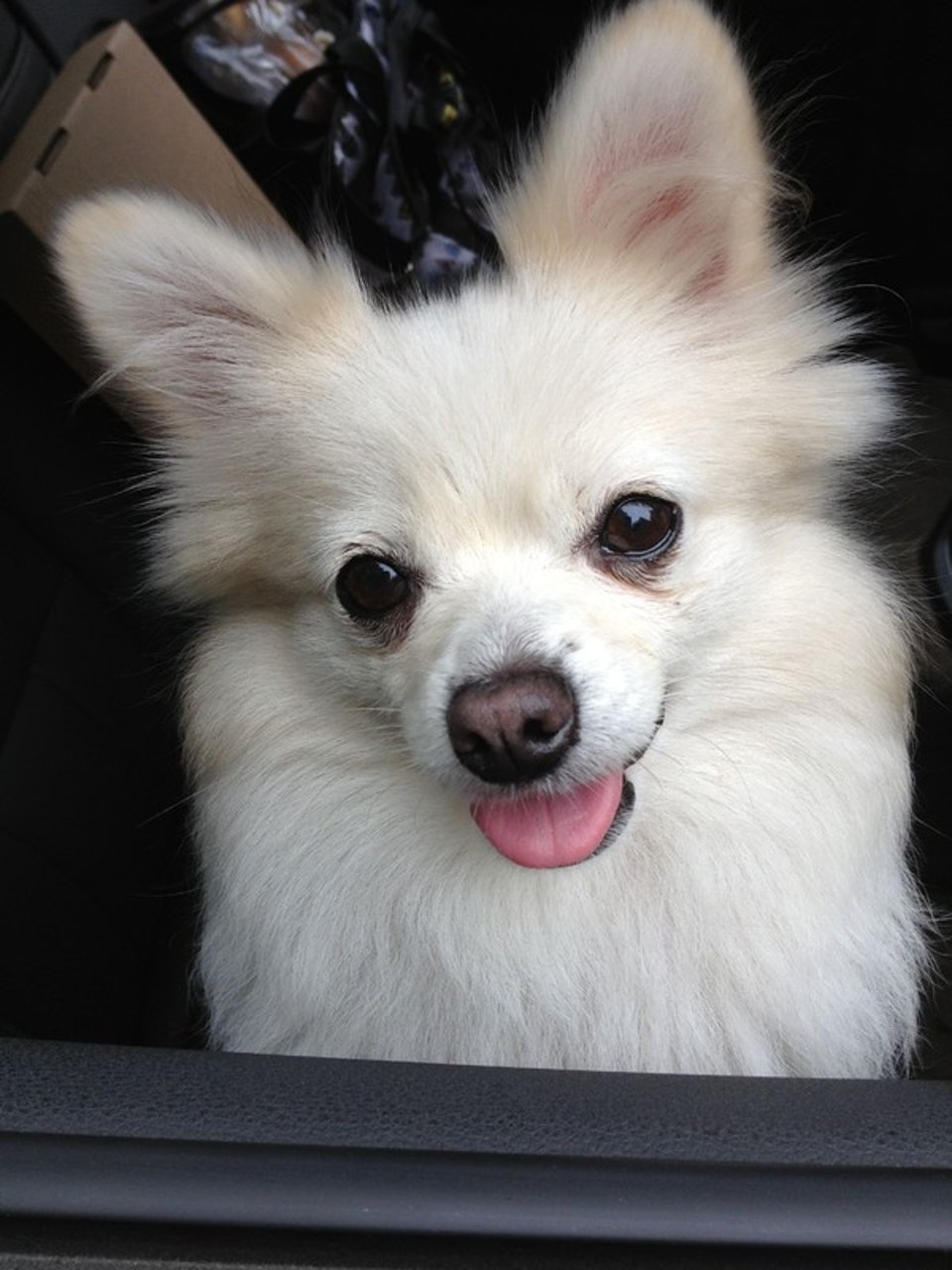 窗外的暴雨是我眼泪