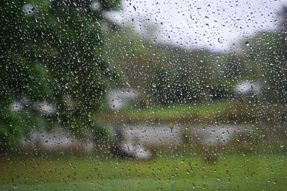 下雨时泥土的气味