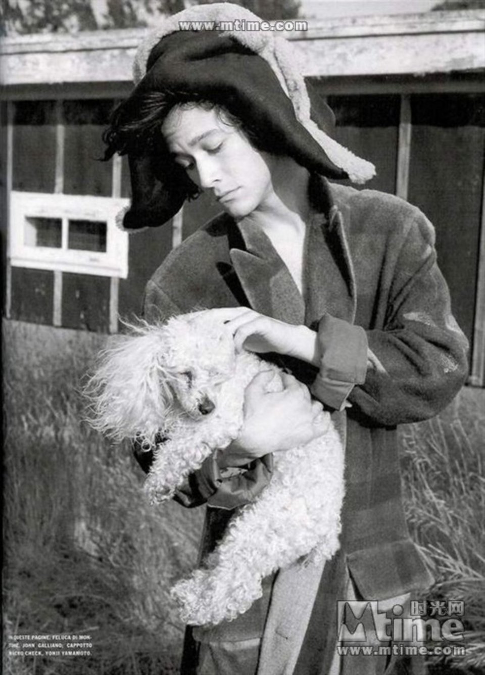 约瑟夫 高登 莱维特