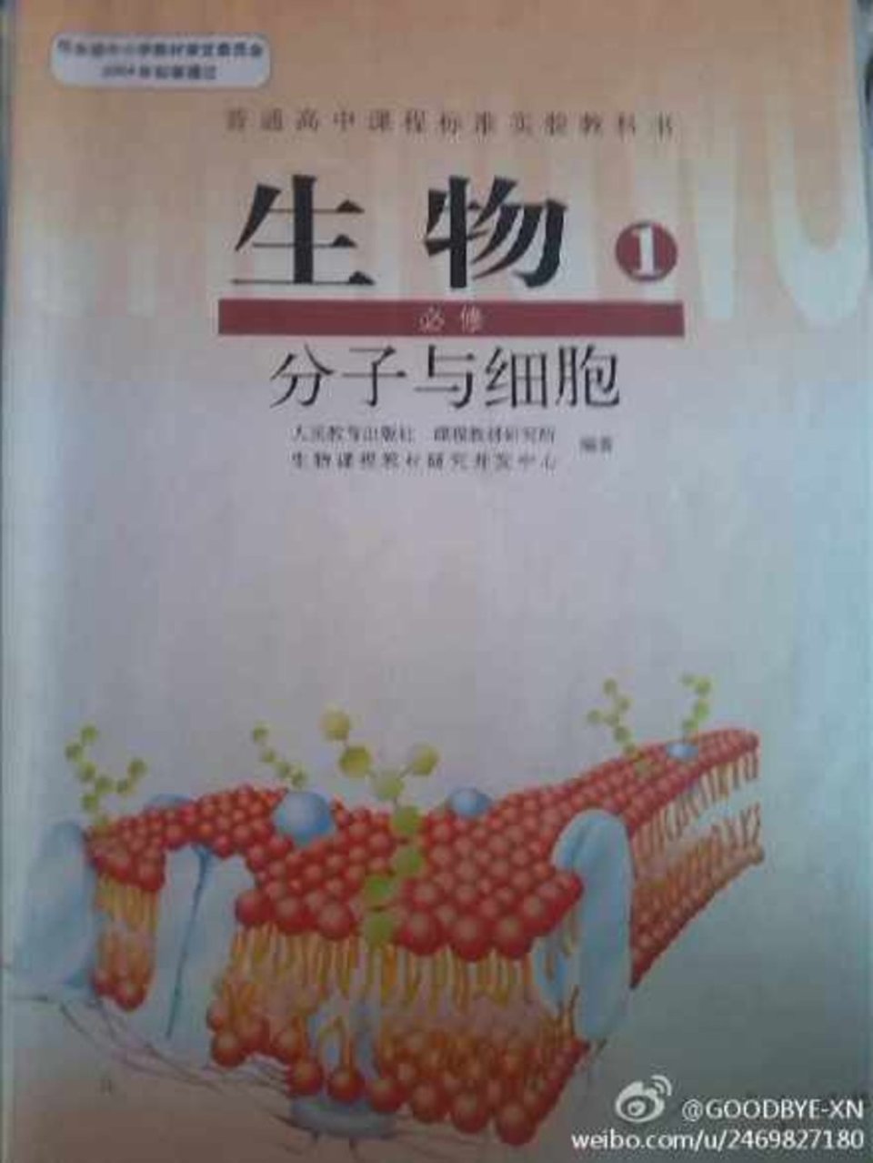 生物老师讲冷笑话般波澜不惊的讲课语调