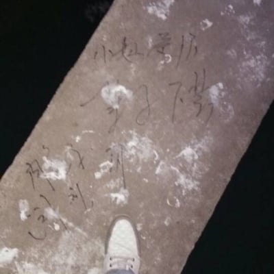 肉兔子的流氓兔