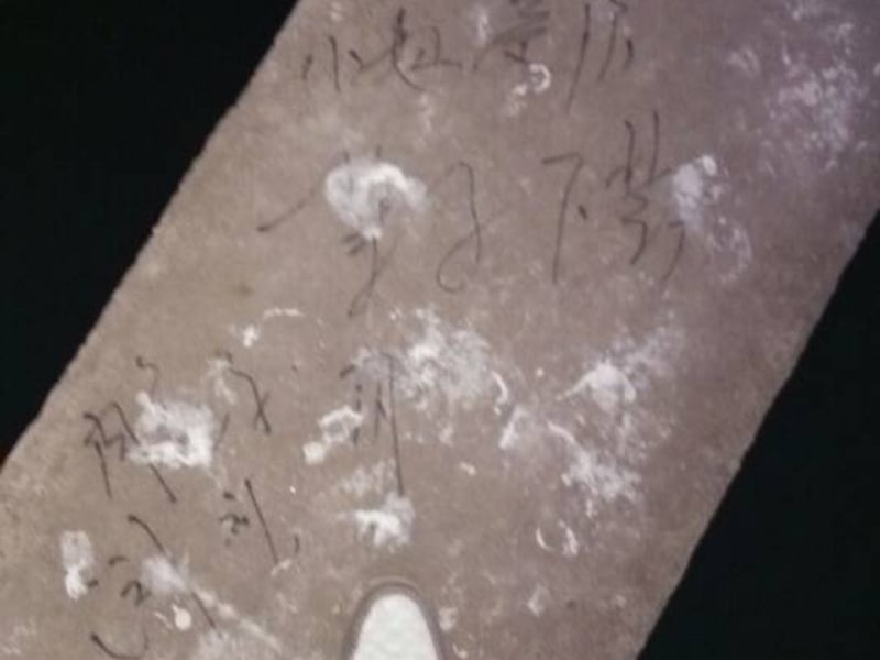 肉兔子的流氓兔