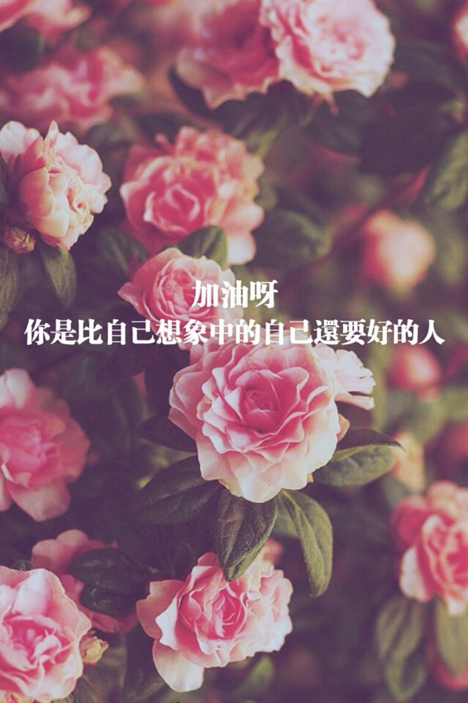 乍见之欢不如久处不厌