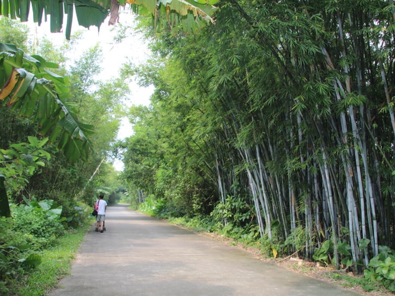 野外旅游