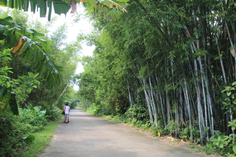 野外旅游