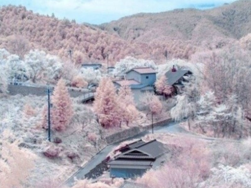 奈良县吉野山