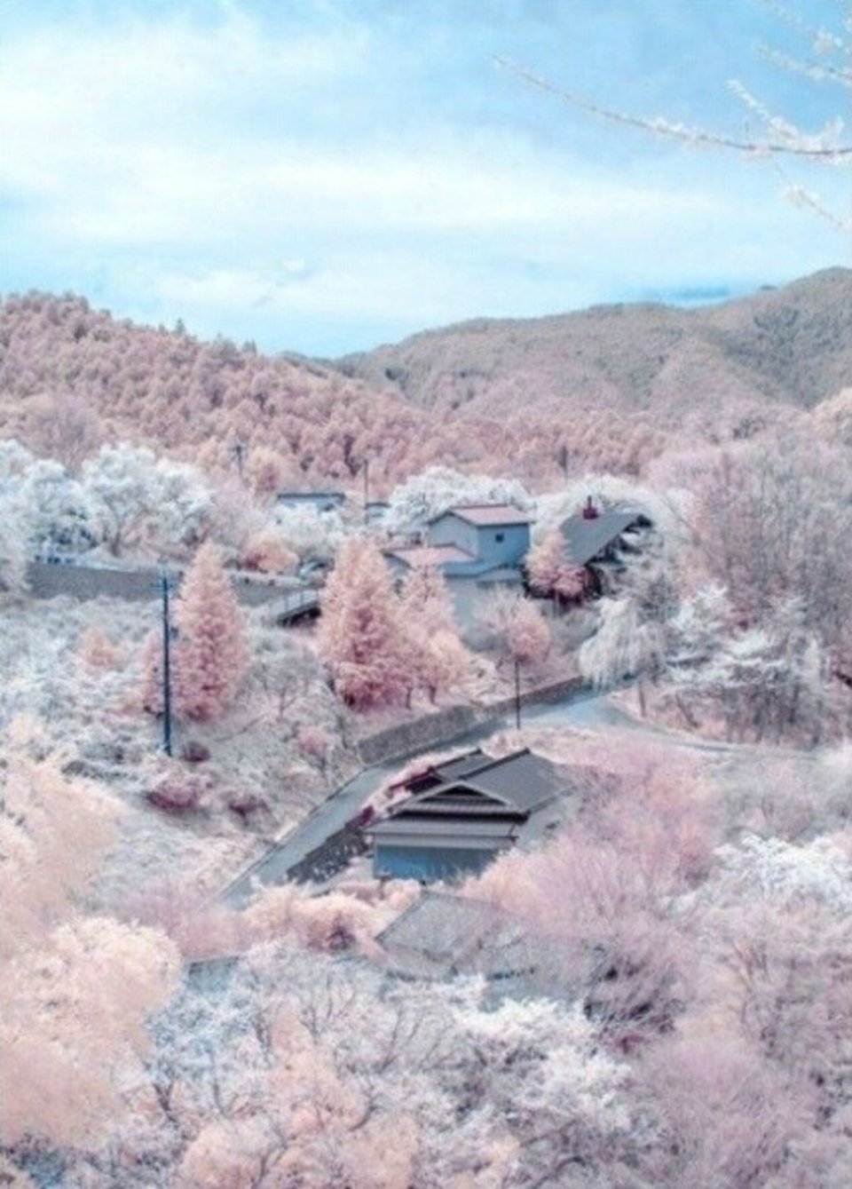 奈良县吉野山