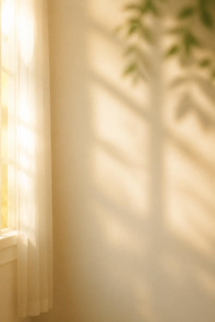 By the window scene for the Miss You pet video template