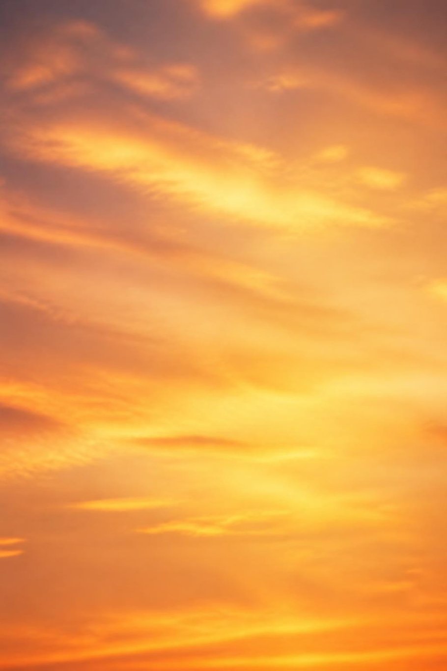 Sunset scene for the Remember When pet video template