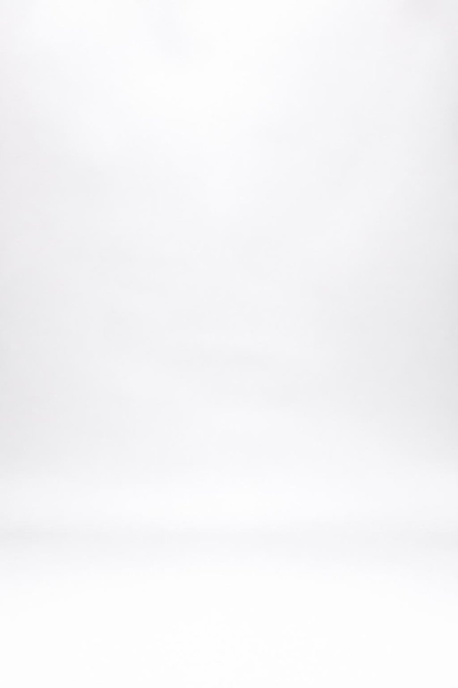 White studio scene for the Remember When pet video template