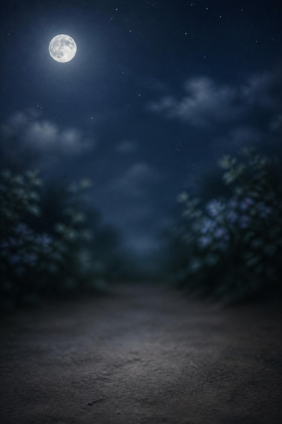 Starry night scene for the Memorial pet video template