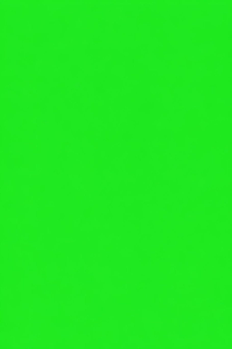Green screen scene for the Remember When pet video template