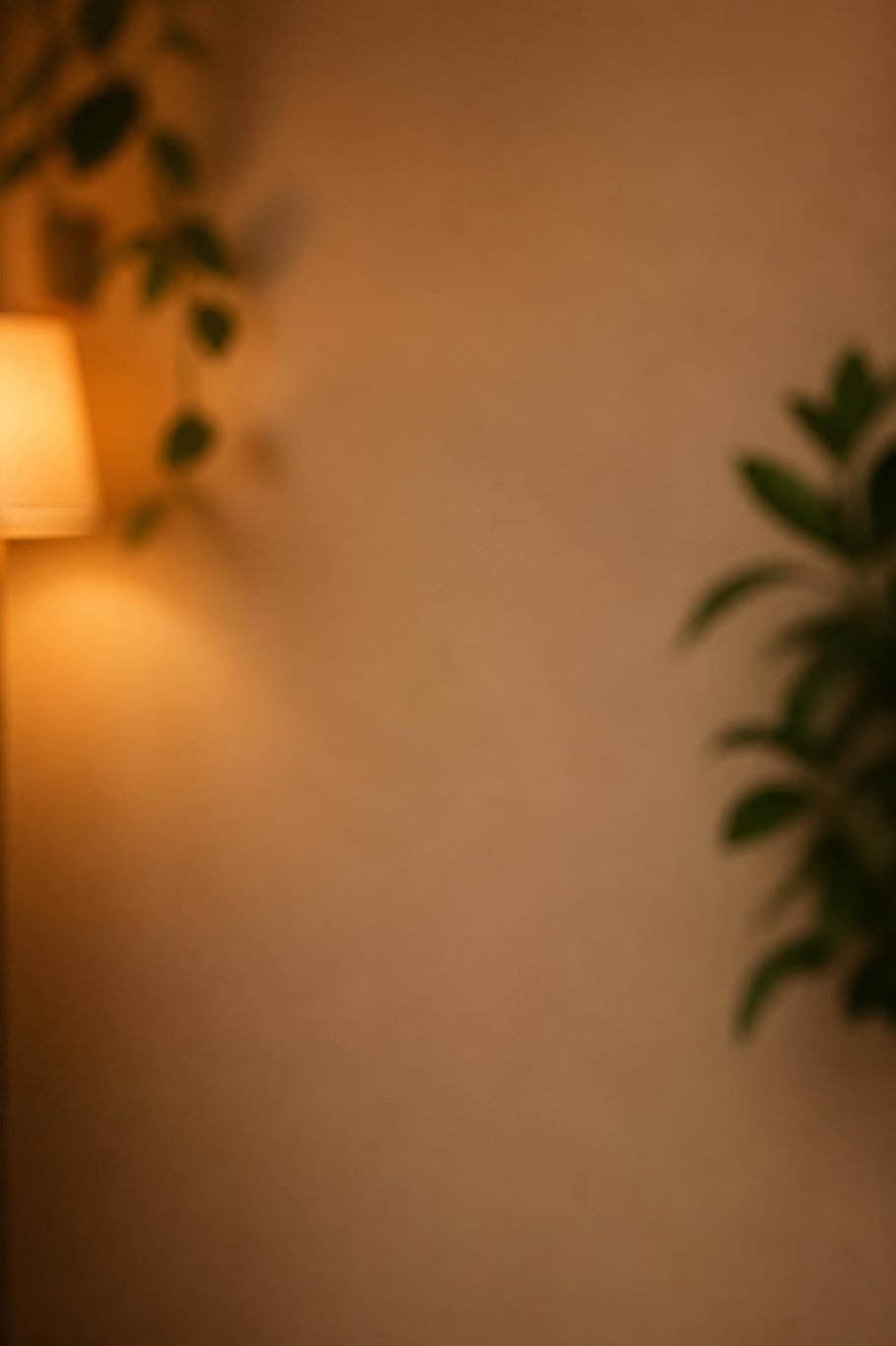 Cozy home scene for the Remember When pet video template