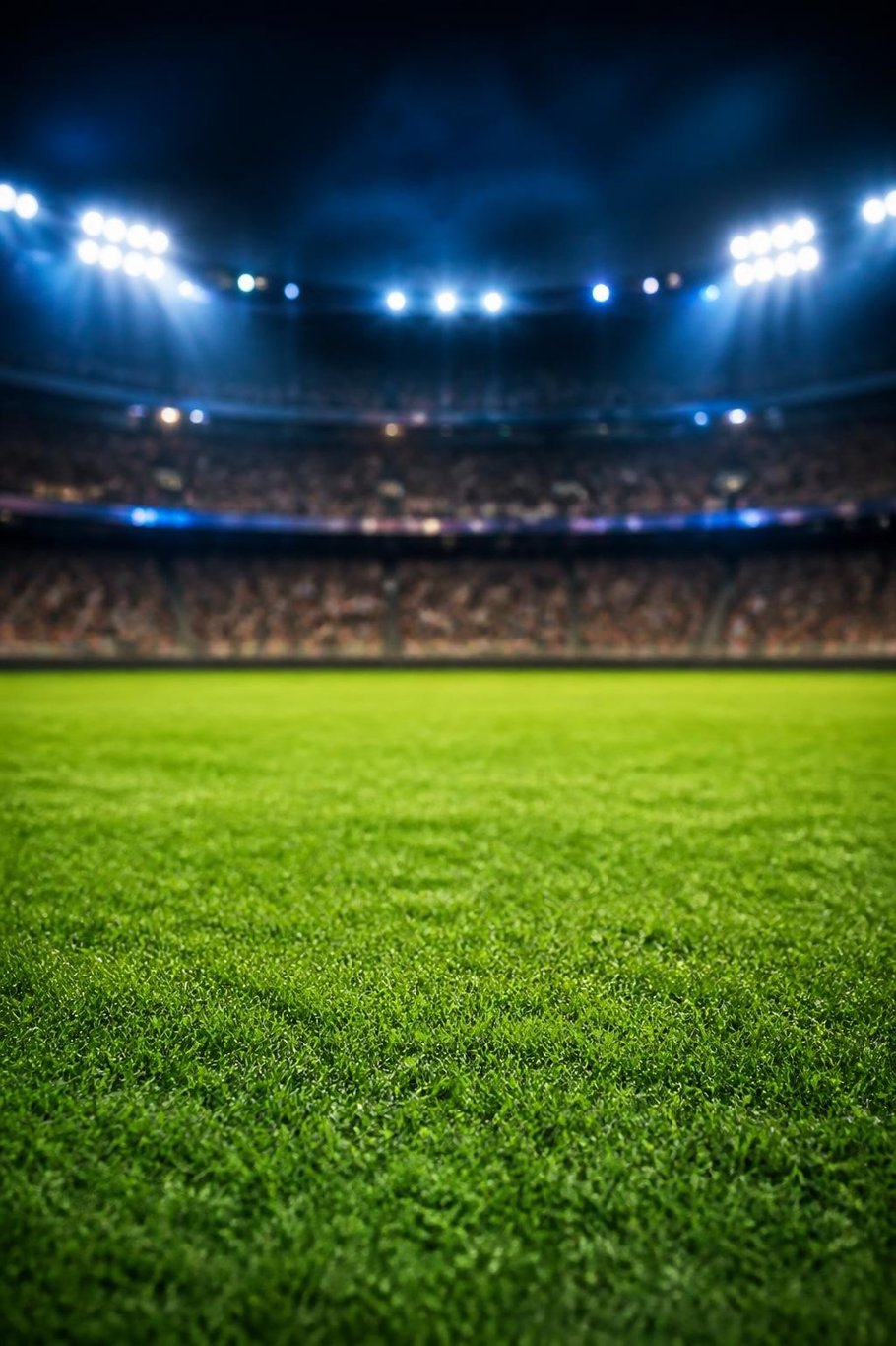 Stadium scene for the Go Team! pet video template