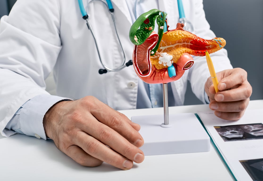 Amylase Normal Range: What Your Blood Test Means