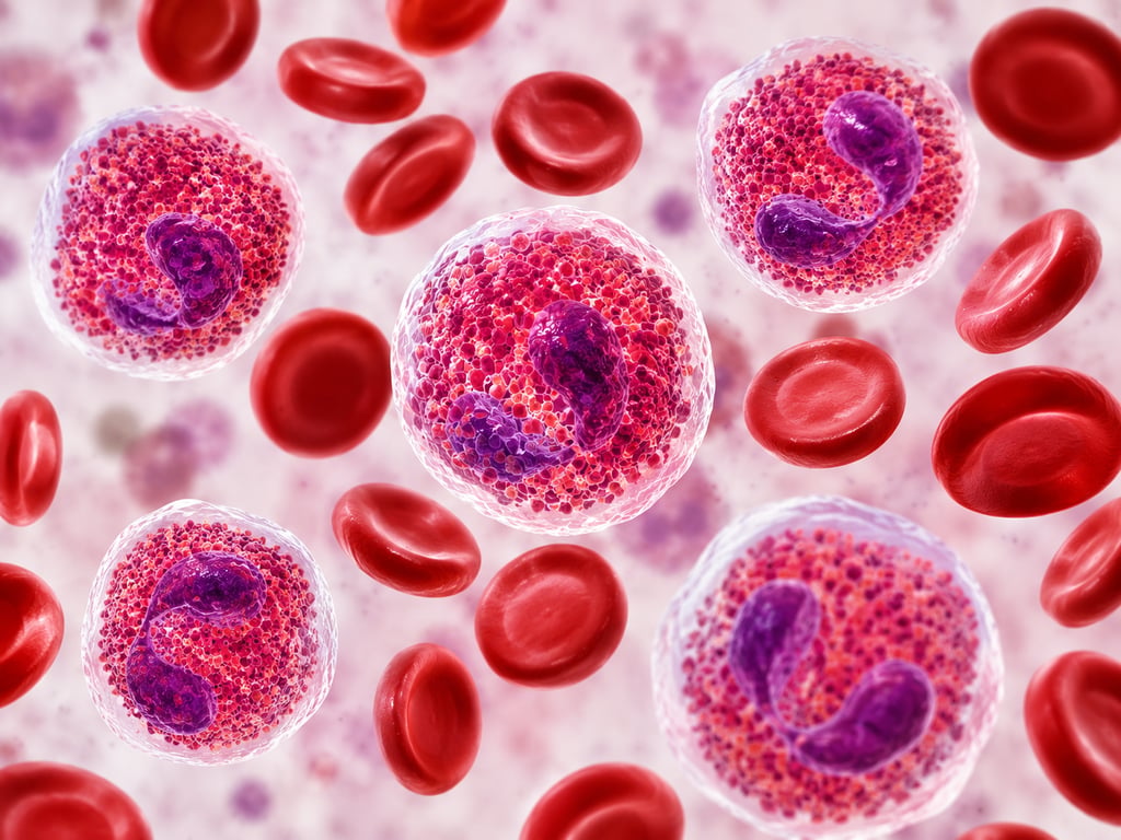 Eosinophil Count (AEC): Normal Range & High Eosinophils