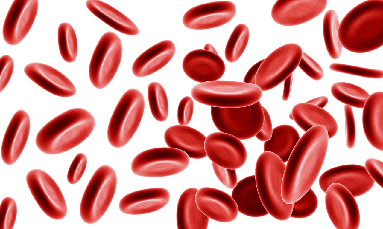 Iron & Anemia: Reading Your Complete Blood Count