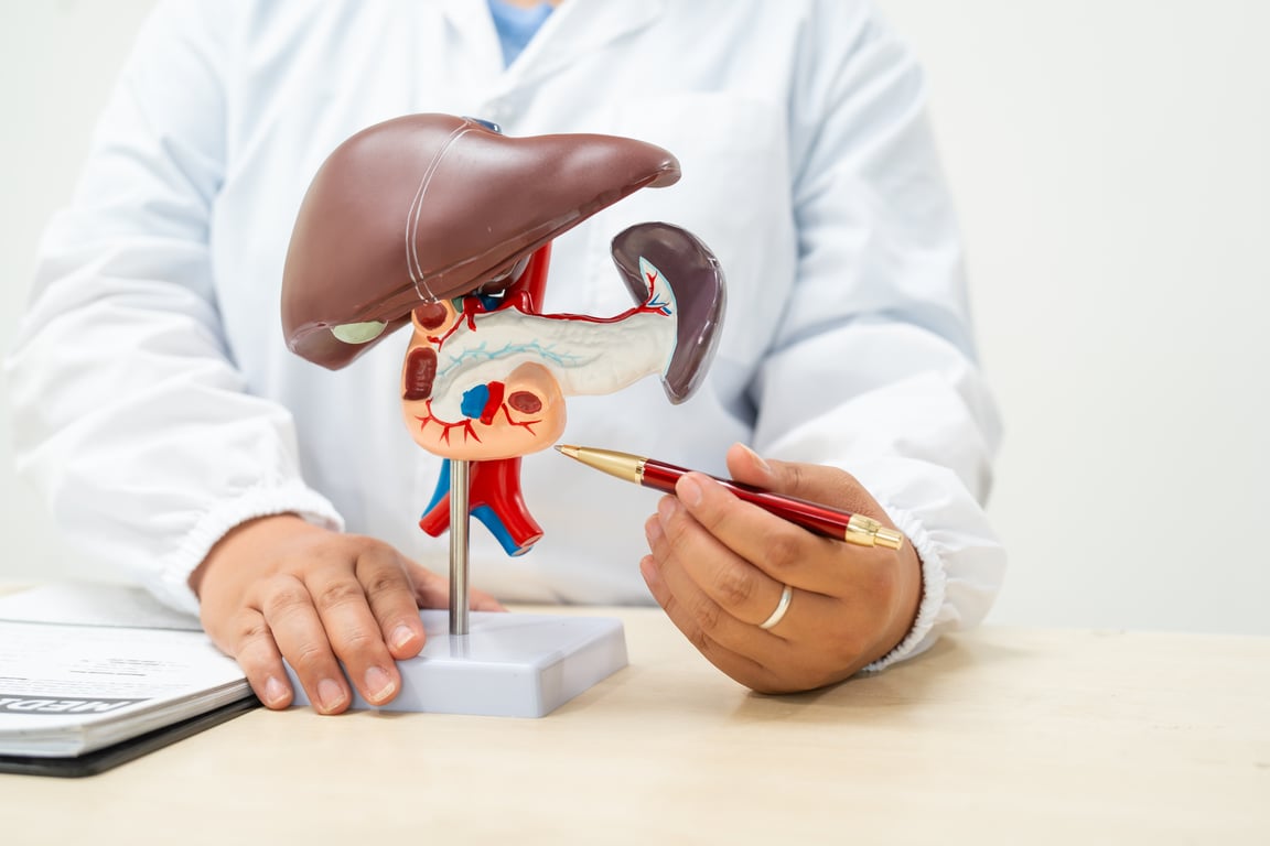 Liver Function Tests: What Your LFT Really Means