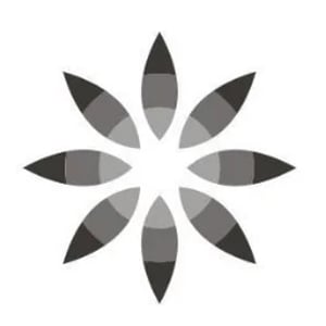 Hyderabad logo