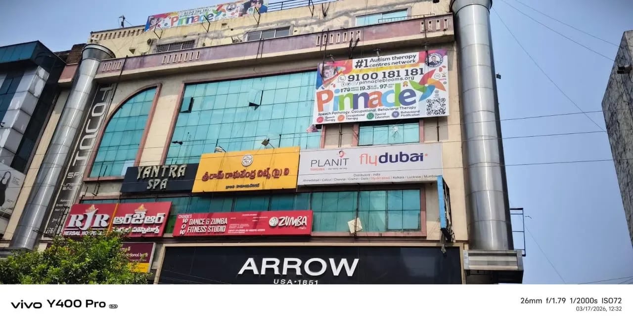 Pinnacle Blooms® - Himayatnagar, photo 2