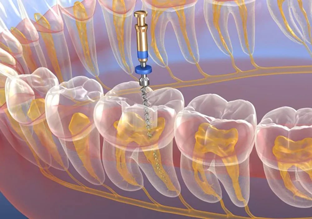 Saavi Dental Care, photo 2