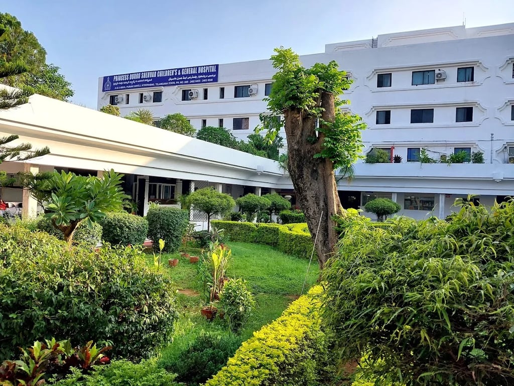 Princess Durru Shehvar Childrens Hospital, photo