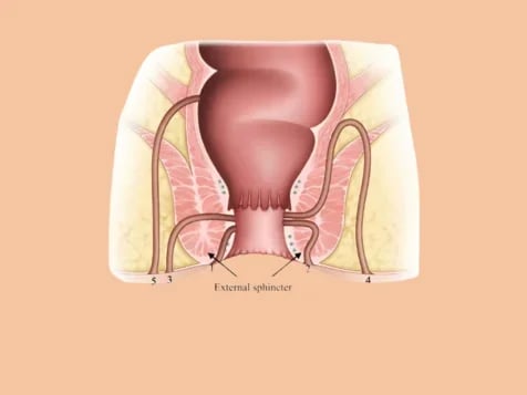 The Anus and Rectum clinic, photo 3