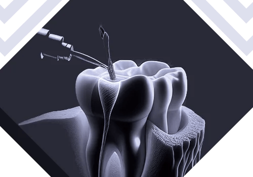 Shaivi Multispeciality Dental Clinic, photo 2