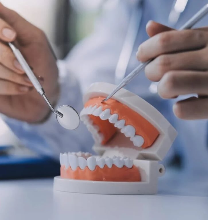 Nova Dental Clinique, photo 3
