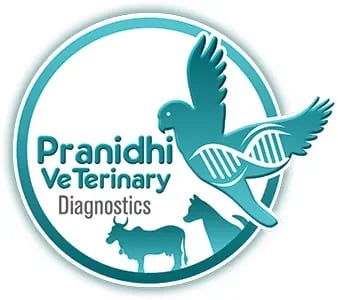 Pranidhi Veterinary Diagnostics, photo 2