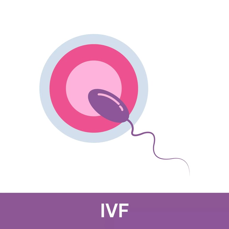 Feminova Fertility & Women Wellness Clinic, photo 2