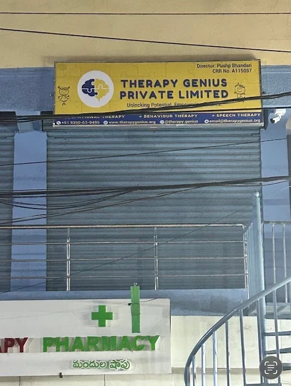 Therapy Genius, photo