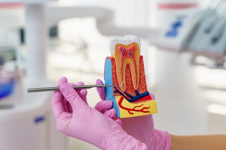 Revital Dental, photo 2