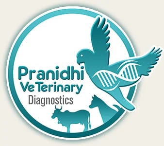 Pranidhi Veterinary Diagnostics, photo 3