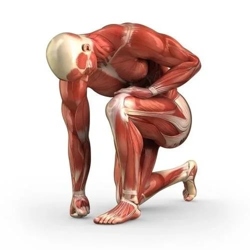 Jaya Physio Clinics, photo 3