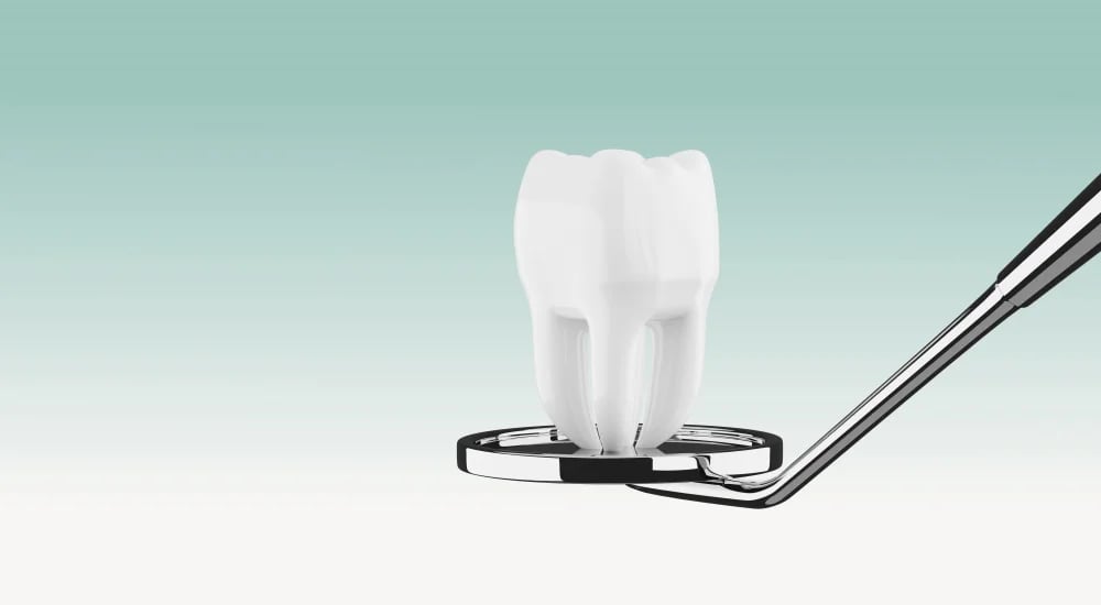Alivio Dentistry, photo 2