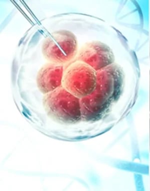 Genome Foundation, photo 3