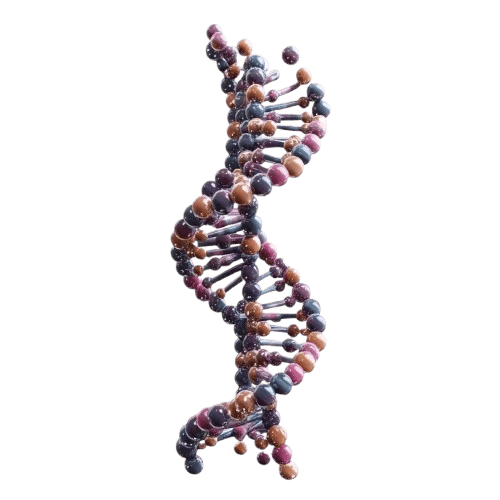 Evidexa DNA Test solutions, photo 2