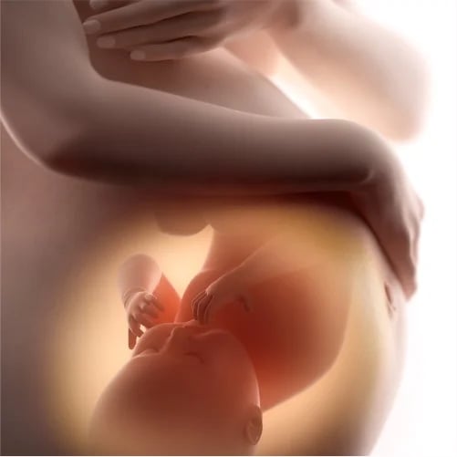 Aeva Fertility, photo 2