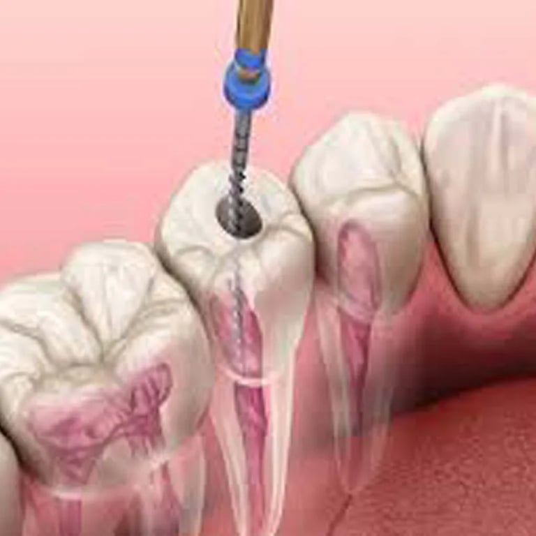 Asian Dental Association, photo 2