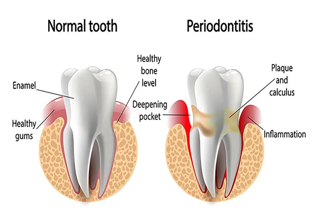 Saavi Dental Care, photo 3