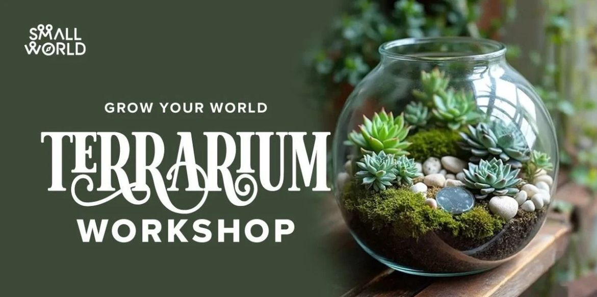 DIY Terrarium Workshop