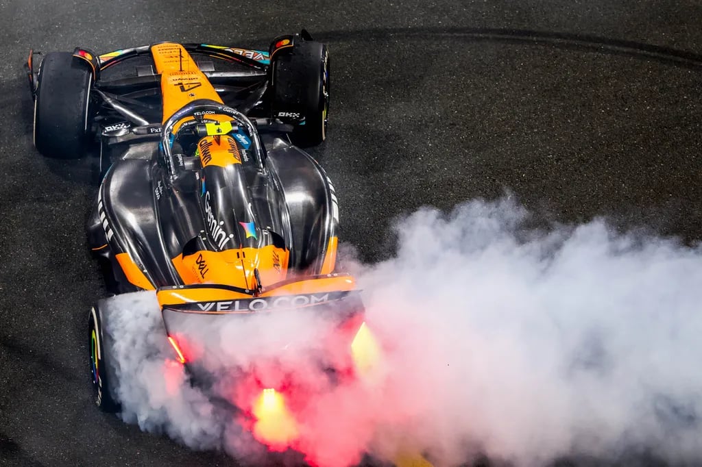 Lando Norris celebrates winning the 2025 World Drivers Championship.