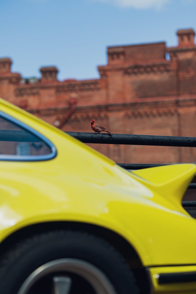 Luftgekühlt 11: The Film